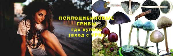 бутират Коряжма