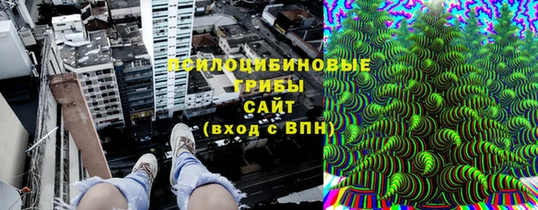 крисы Зерноград