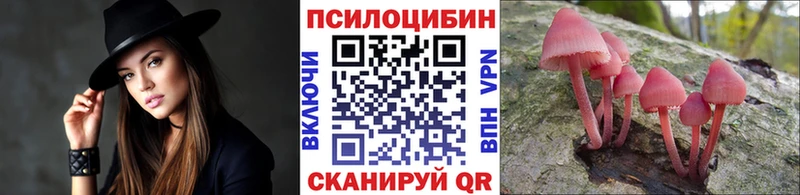 цены   Кизляр  Псилоцибиновые грибы мухоморы 